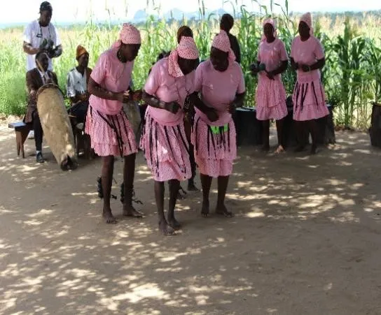 Tonga Basketry Project